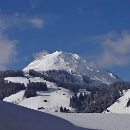 Alpenhof Brixen Отель 4*